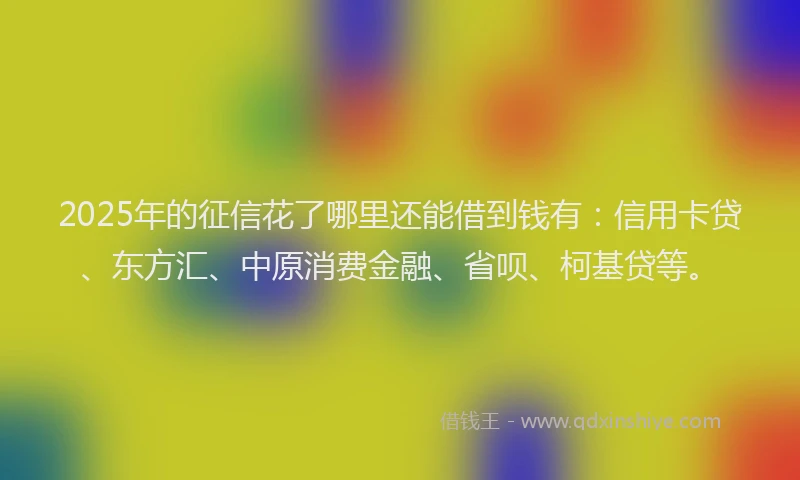 2025年的征信花了哪里还能借到钱有：信用卡贷、东方汇、中原消费金融、省呗、柯基贷等。
