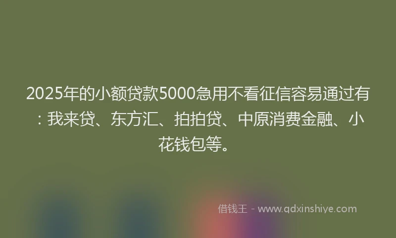 2025年的小额贷款5000急用不看征信容易通过有：我来贷、东方汇、拍拍贷、中原消费金融、小花钱包等。