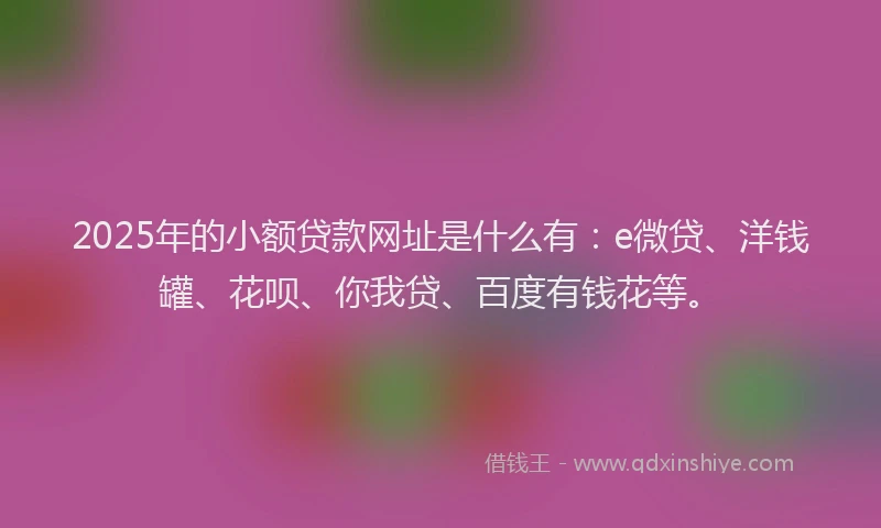 2025年的小额贷款网址是什么有：e微贷、洋钱罐、花呗、你我贷、百度有钱花等。