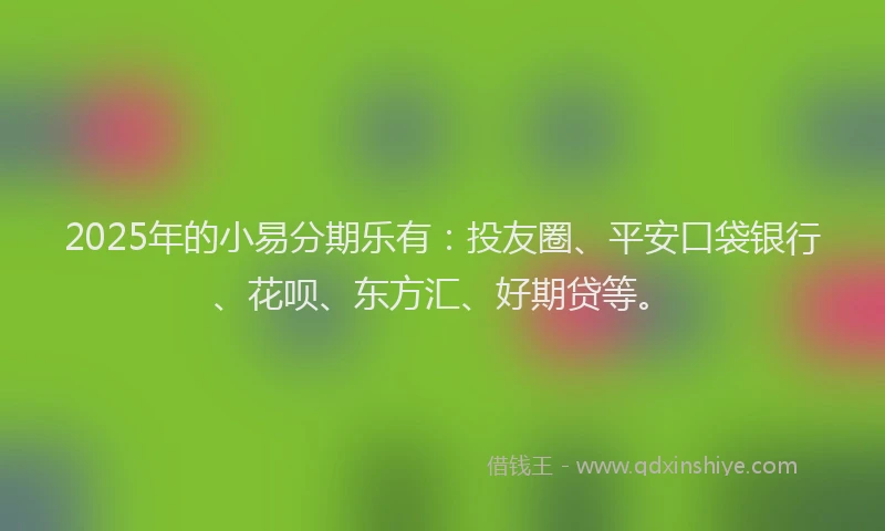 2025年的小易分期乐有：投友圈、平安口袋银行、花呗、东方汇、好期贷等。