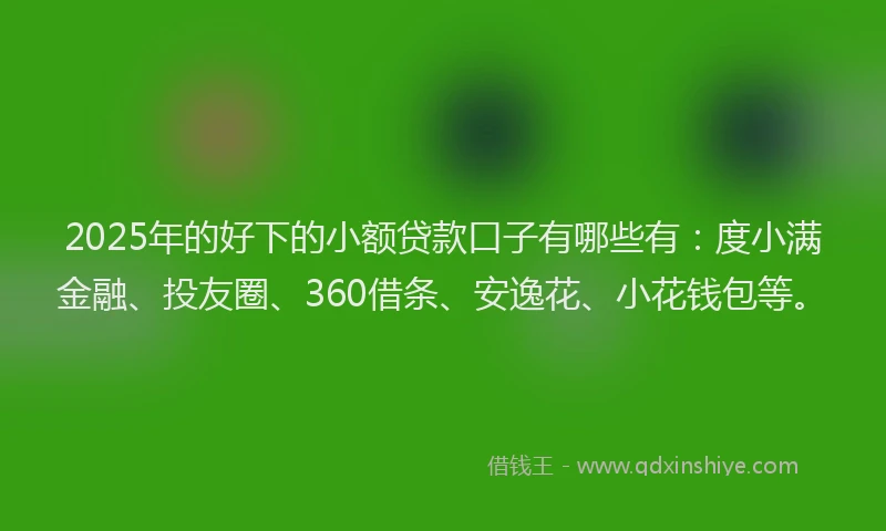 2025年的好下的小额贷款口子有哪些有：度小满金融、投友圈、360借条、安逸花、小花钱包等。