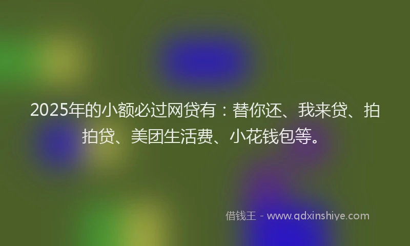 2025年的小额必过网贷有：替你还、我来贷、拍拍贷、美团生活费、小花钱包等。