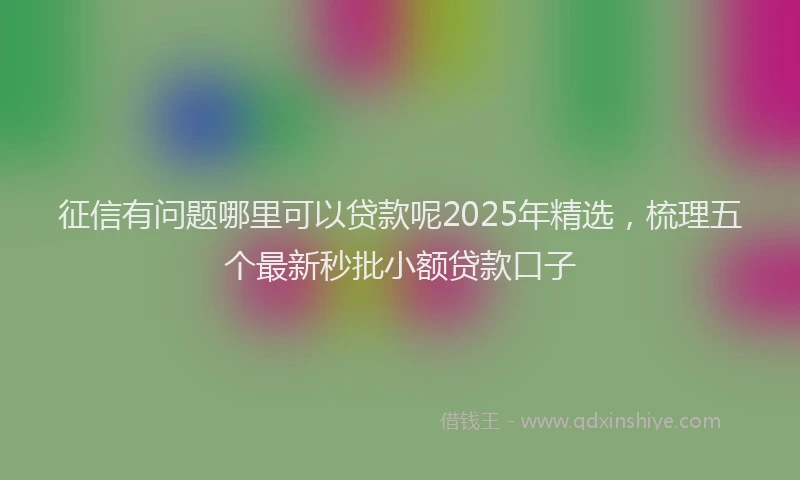 征信有问题哪里可以贷款呢2025年精选，梳理五个最新秒批小额贷款口子