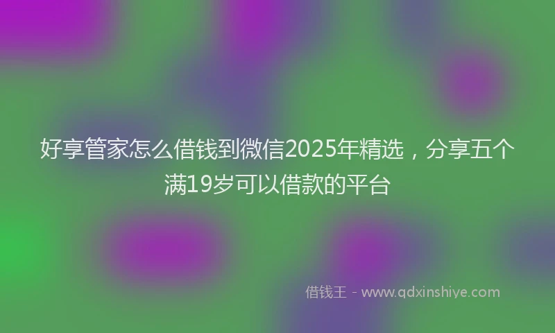 好享管家怎么借钱到微信2025年精选，分享五个满19岁可以借款的平台