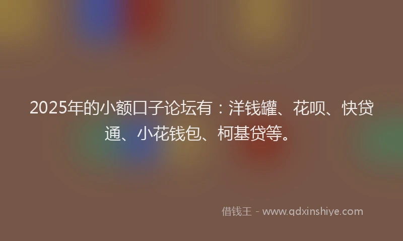 2025年的小额口子论坛有：洋钱罐、花呗、快贷通、小花钱包、柯基贷等。