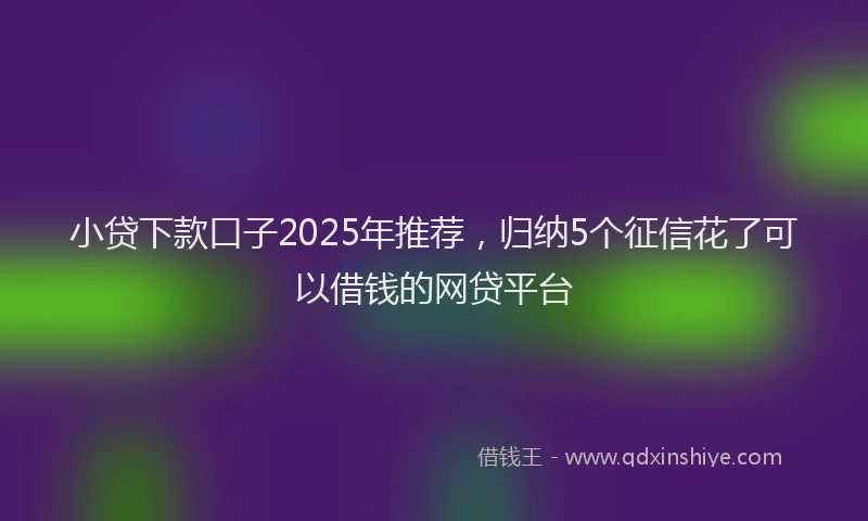 小贷下款口子2025年推荐，归纳5个征信花了可以借钱的网贷平台