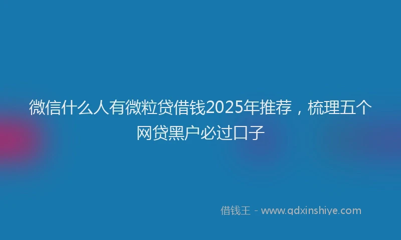 微信什么人有微粒贷借钱2025年推荐，梳理五个网贷黑户必过口子