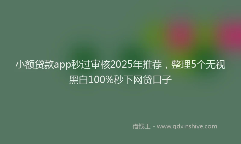 小额贷款app秒过审核2025年推荐，整理5个无视黑白100%秒下网贷口子