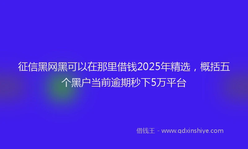 征信黑网黑可以在那里借钱2025年精选，概括五个黑户当前逾期秒下5万平台