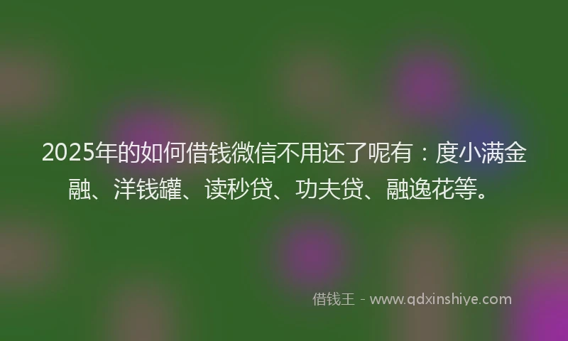 2025年的如何借钱微信不用还了呢有：度小满金融、洋钱罐、读秒贷、功夫贷、融逸花等。