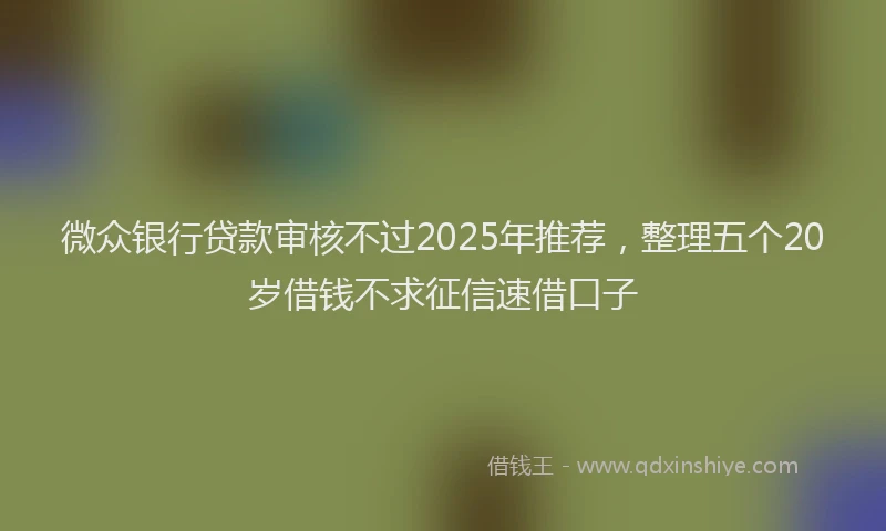 微众银行贷款审核不过2025年推荐，整理五个20岁借钱不求征信速借口子