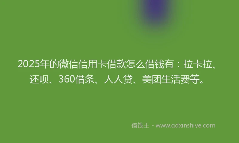 2025年的微信信用卡借款怎么借钱有：拉卡拉、还呗、360借条、人人贷、美团生活费等。