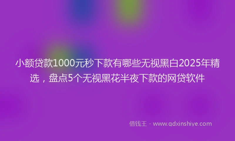 小额贷款1000元秒下款有哪些无视黑白2025年精选，盘点5个无视黑花半夜下款的网贷软件