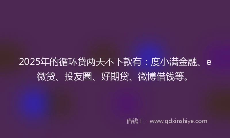 2025年的循环贷两天不下款有：度小满金融、e微贷、投友圈、好期贷、微博借钱等。