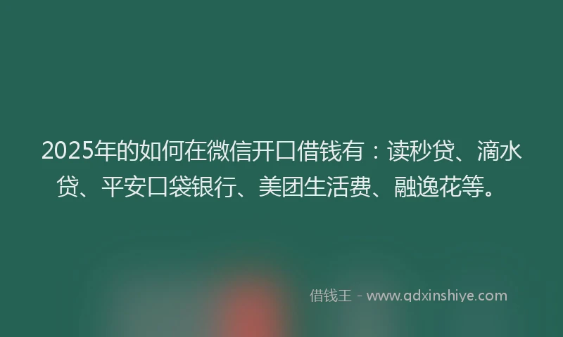 2025年的如何在微信开口借钱有：读秒贷、滴水贷、平安口袋银行、美团生活费、融逸花等。