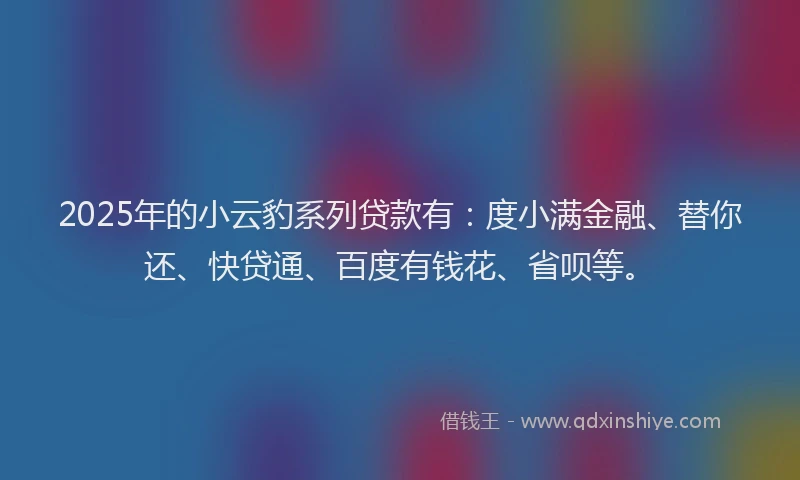 2025年的小云豹系列贷款有：度小满金融、替你还、快贷通、百度有钱花、省呗等。