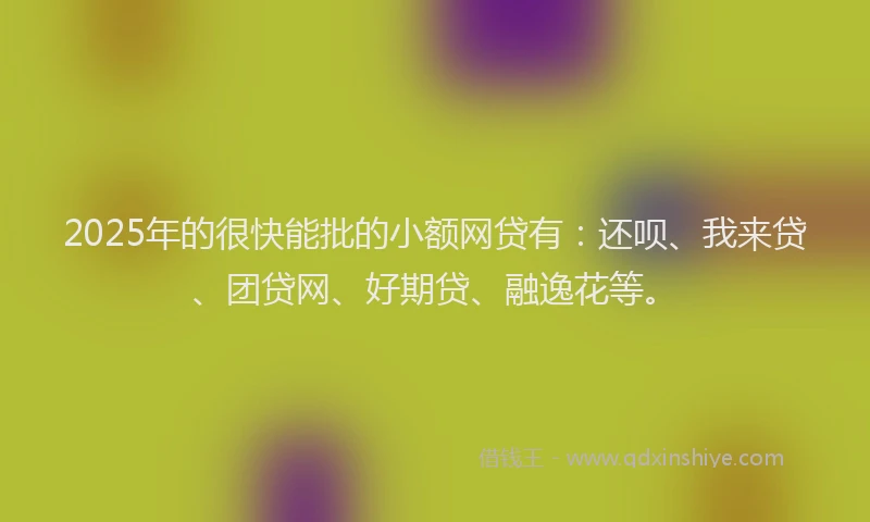 2025年的很快能批的小额网贷有：还呗、我来贷、团贷网、好期贷、融逸花等。
