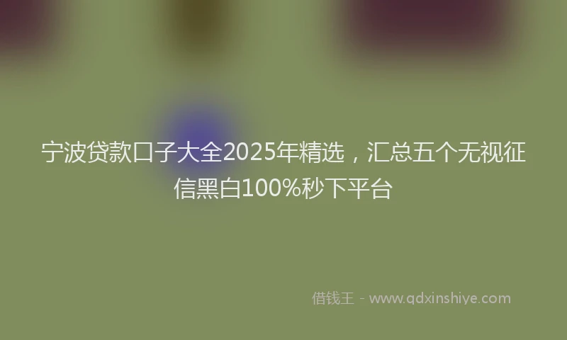 宁波贷款口子大全2025年精选，汇总五个无视征信黑白100%秒下平台
