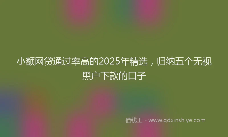 小额网贷通过率高的2025年精选，归纳五个无视黑户下款的口子