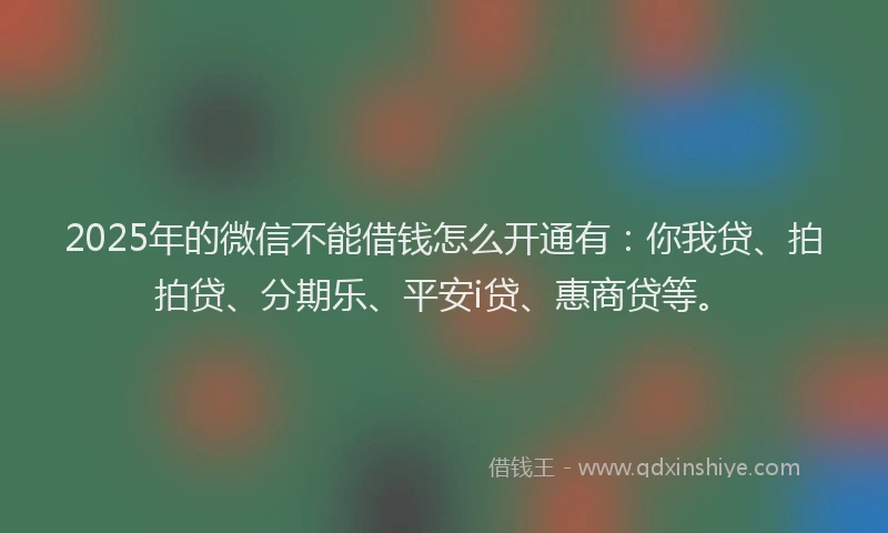 2025年的微信不能借钱怎么开通有：你我贷、拍拍贷、分期乐、平安i贷、惠商贷等。