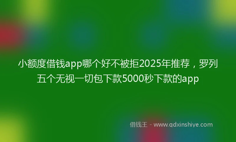 小额度借钱app哪个好不被拒2025年推荐，罗列五个无视一切包下款5000秒下款的app