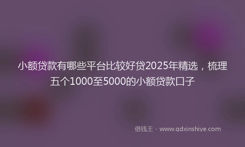 小额贷款有哪些平台比较好贷2025年精选，梳理五个1000至5000的小额贷款口子