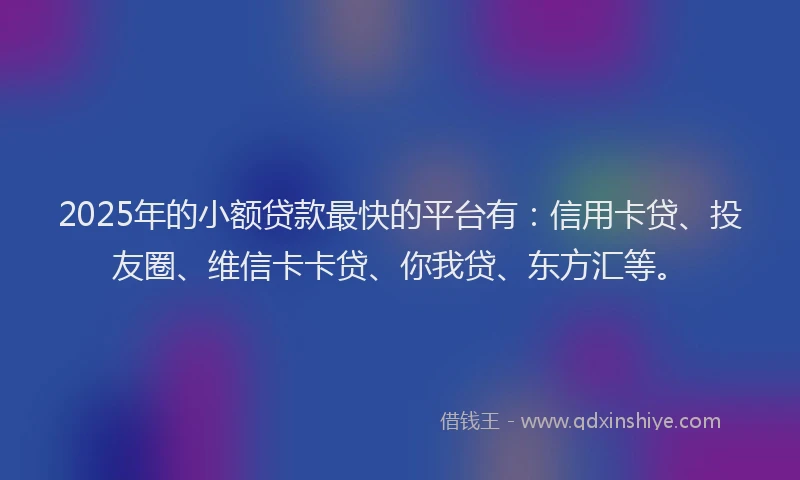 2025年的小额贷款最快的平台有：信用卡贷、投友圈、维信卡卡贷、你我贷、东方汇等。