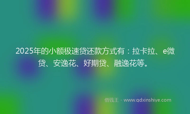 2025年的小额极速贷还款方式有：拉卡拉、e微贷、安逸花、好期贷、融逸花等。