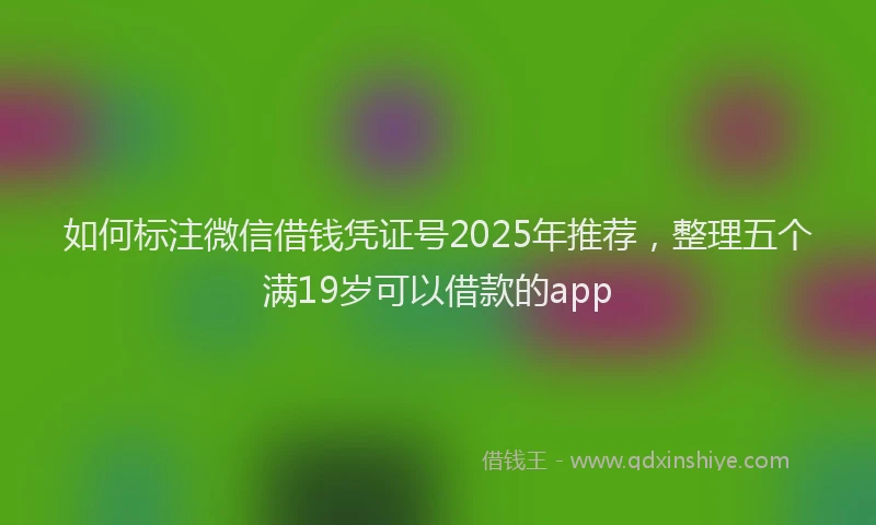 如何标注微信借钱凭证号2025年推荐，整理五个满19岁可以借款的app