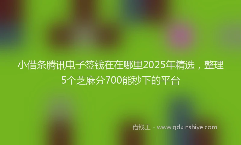 小借条腾讯电子签钱在在哪里2025年精选，整理5个芝麻分700能秒下的平台