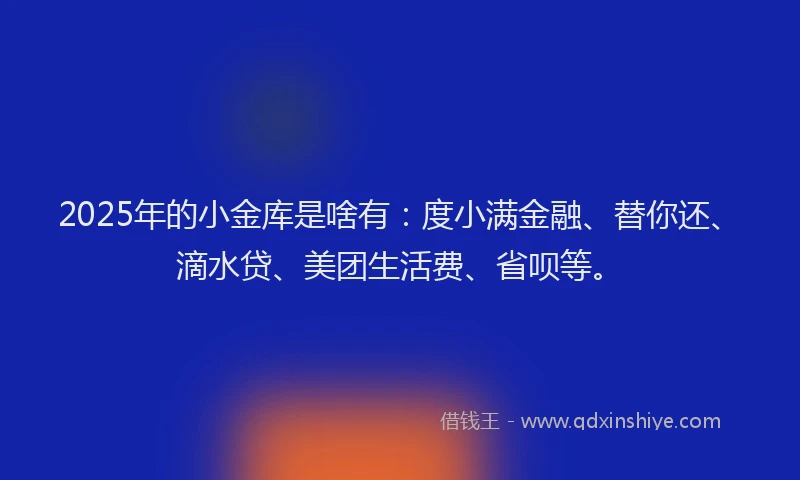 2025年的小金库是啥有：度小满金融、替你还、滴水贷、美团生活费、省呗等。
