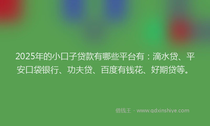 2025年的小口子贷款有哪些平台有：滴水贷、平安口袋银行、功夫贷、百度有钱花、好期贷等。