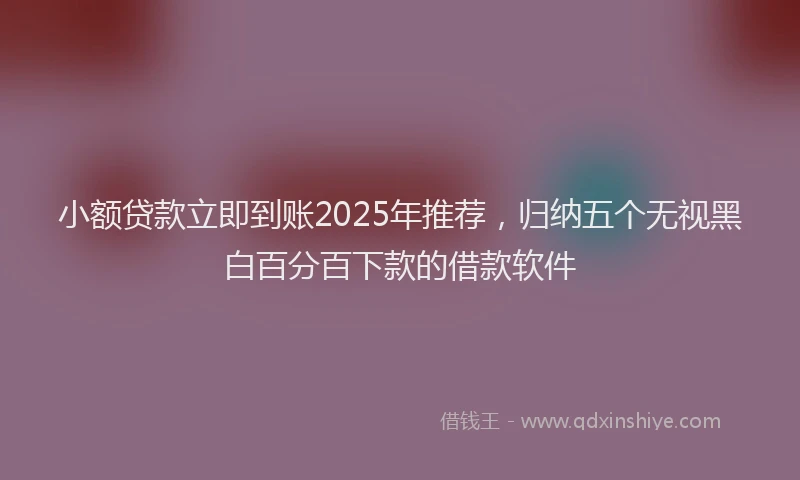 小额贷款立即到账2025年推荐，归纳五个无视黑白百分百下款的借款软件