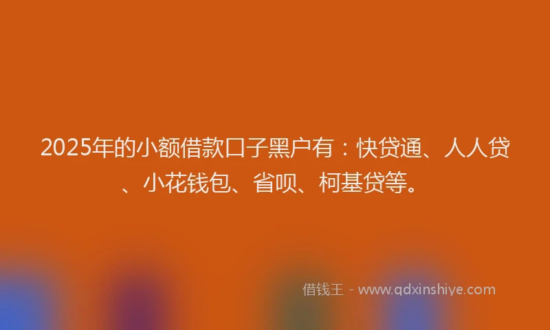 2025年的小额借款口子黑户有：快贷通、人人贷、小花钱包、省呗、柯基贷等。