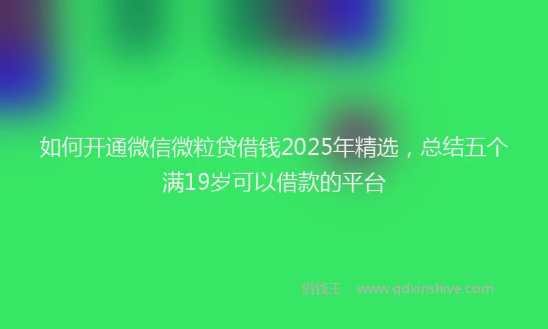 如何开通微信微粒贷借钱2025年精选，总结五个满19岁可以借款的平台