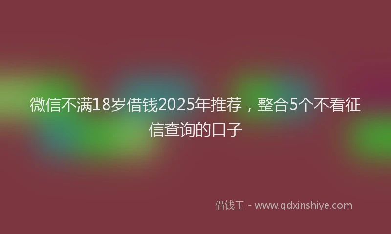 微信不满18岁借钱2025年推荐，整合5个不看征信查询的口子