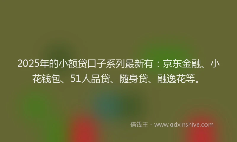 2025年的小额贷口子系列最新有：京东金融、小花钱包、51人品贷、随身贷、融逸花等。