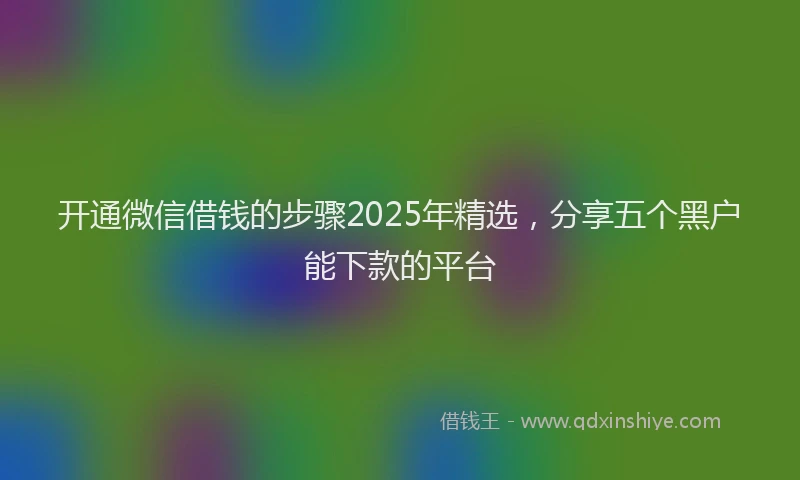 开通微信借钱的步骤2025年精选，分享五个黑户能下款的平台