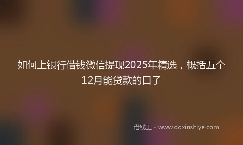 如何上银行借钱微信提现2025年精选，概括五个12月能贷款的口子