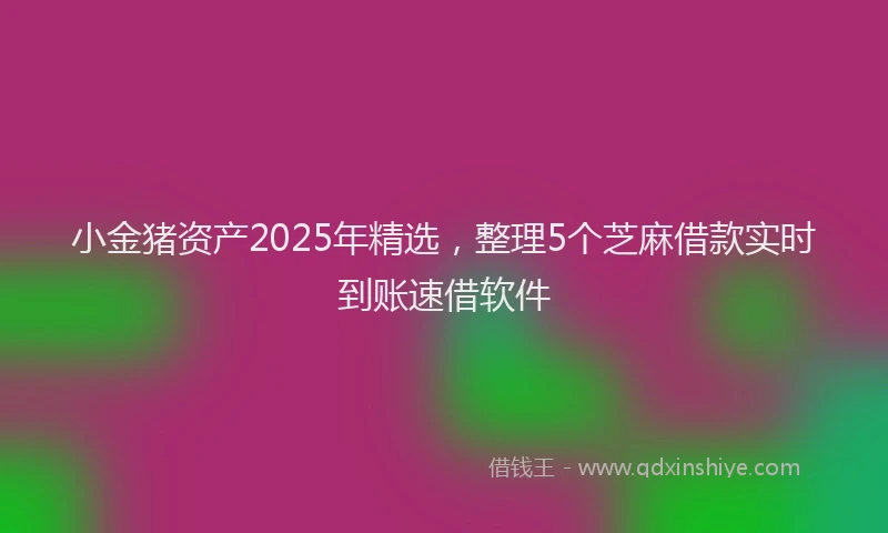 小金猪资产2025年精选，整理5个芝麻借款实时到账速借软件