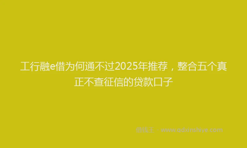 工行融e借为何通不过2025年推荐，整合五个真正不查征信的贷款口子