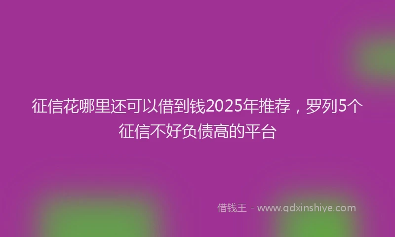 征信花哪里还可以借到钱2025年推荐，罗列5个征信不好负债高的平台