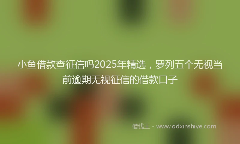 小鱼借款查征信吗2025年精选，罗列五个无视当前逾期无视征信的借款口子