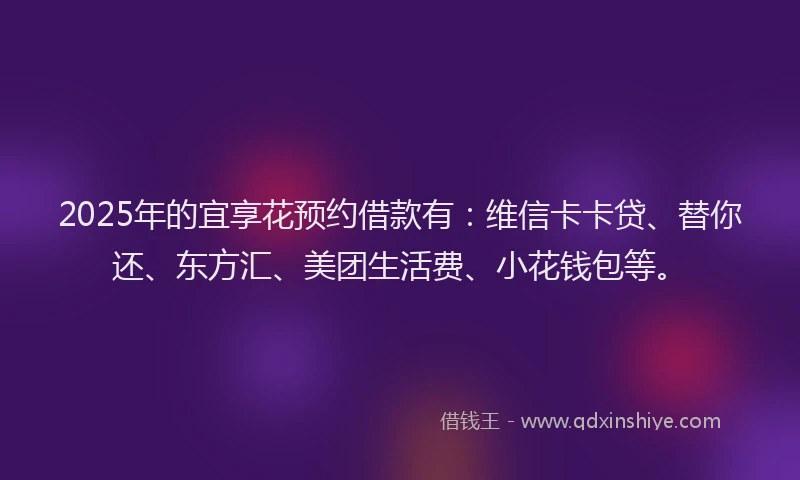 2025年的宜享花预约借款有：维信卡卡贷、替你还、东方汇、美团生活费、小花钱包等。