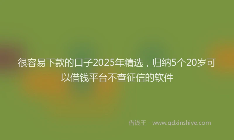 很容易下款的口子2025年精选，归纳5个20岁可以借钱平台不查征信的软件