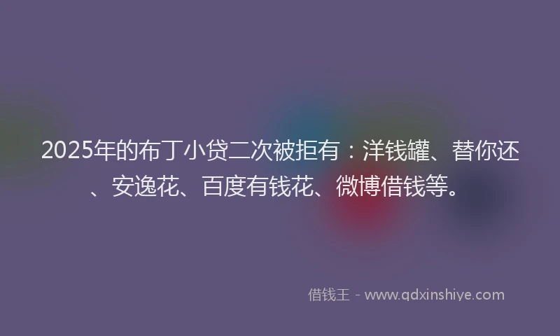 2025年的布丁小贷二次被拒有：洋钱罐、替你还、安逸花、百度有钱花、微博借钱等。