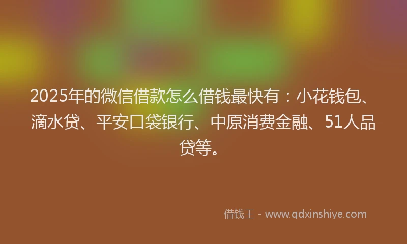 2025年的微信借款怎么借钱最快有：小花钱包、滴水贷、平安口袋银行、中原消费金融、51人品贷等。