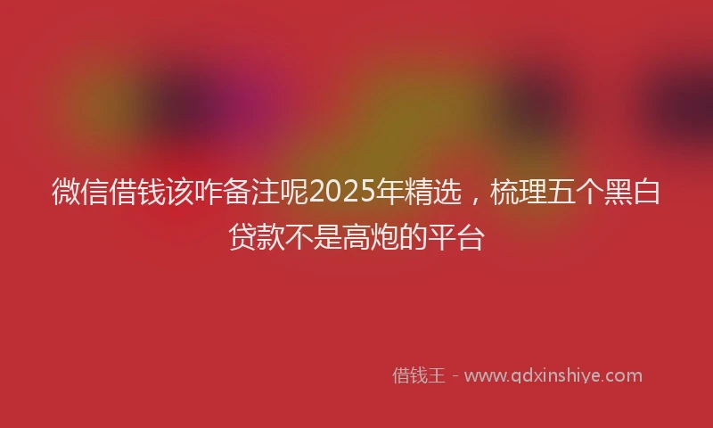 微信借钱该咋备注呢2025年精选，梳理五个黑白贷款不是高炮的平台