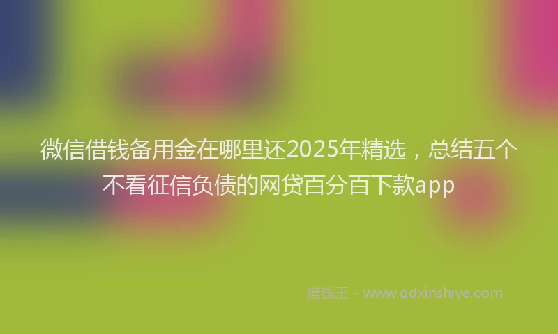 微信借钱备用金在哪里还2025年精选，总结五个不看征信负债的网贷百分百下款app