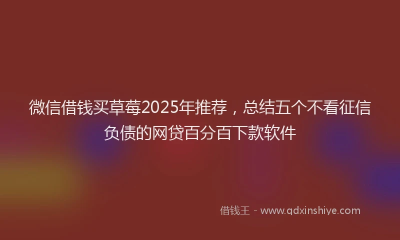 微信借钱买草莓2025年推荐，总结五个不看征信负债的网贷百分百下款软件